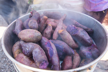 Purple Sweet Potato