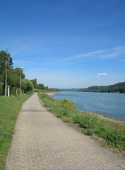 Fototapeta na wymiar Radweg am Mittelrhein bei Bad Breisig,Rheinland-Pfalz,Deutschland