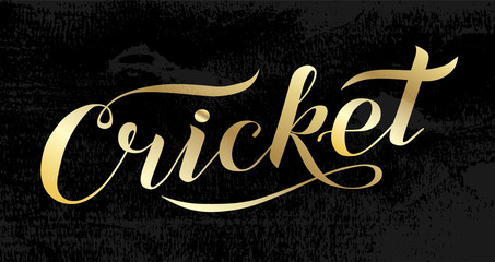 Hand drawn Cricket golden lettering text on black background, vector illustration. Tennis modern brush calligraphy. Summer sport, fitness, activity vector design. Print for logo, T-shirt and caps. 