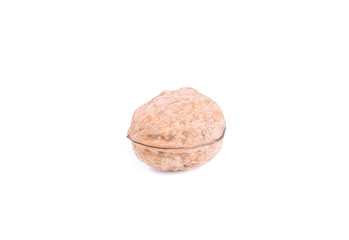 Walnut isolated on white background, close up