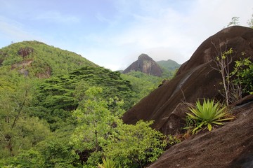 Mountain landscape. Green tropical trees on the mountain slopes.