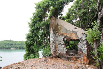 Mountain landscape. Green tropical trees on the mountain slopes.
