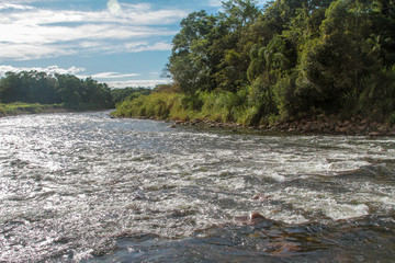 stone river and trees