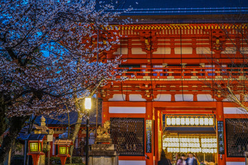 Fototapeta premium 京都・八坂神社