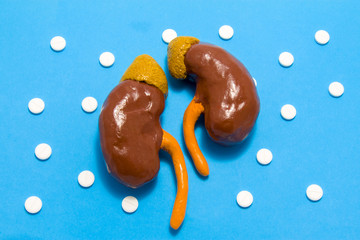 3D anatomical model of kidneys is on blue background surrounded by white pills as ornament polka dots. Medical concept by pharmacological tableted treating renal disease, pharmacotherapy chemotherapy