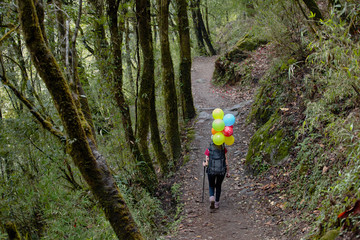 Fototapeta premium A young woman walks along a mountain forest trail with a backpack and colorful balls. Himalayas. Nepal