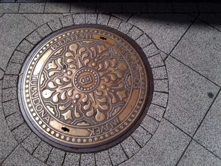 Manhole cover in St. Petersburg.