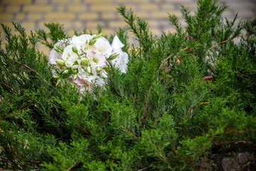 wedding bouquet on a green bush. fresh different summer flowers closeup.