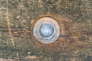 Iron Rivet Bolt in Wood