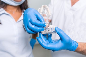 Dentist shows the Intern prosthetics on the training layout close-up