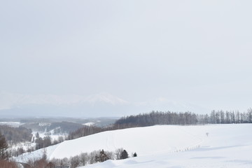 landscape of snow field on mountain in Hokkaido Japan