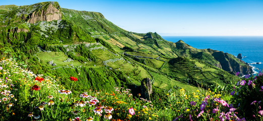 Portugal, the Azores landscape: Flores Island, wide angle view on Rocha dos Bordoes, a volcanic...