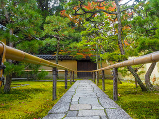 Stone walkways have bamboo railings with green trees and mossy floors in the japanese garden