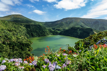 Azores: Flowers at Lagoa Funda das Lajes on Flores island, the azores, Portugal.