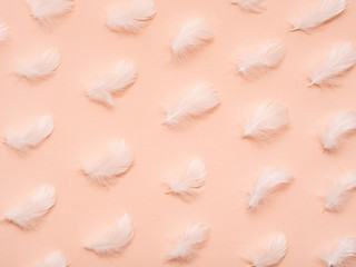 Plenty of white feathers.