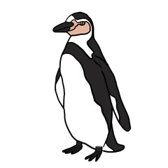 penguin isolated on white 