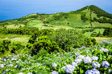 View from Pico volcano on the green fields of Pico island, the Azores, Portugal