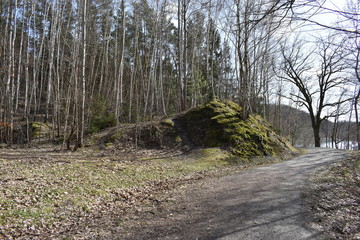 Landscape in Zeulenroda in Thüringen with many trees in Germany