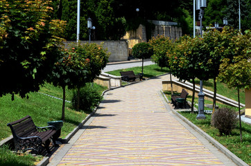 Street, the  sidewalk with colored tiles, benches, trees