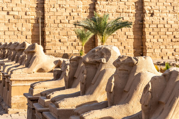 Sphinxes at Karnak Temple, Luxor, Egypt