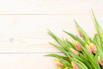 Tulips on wooden background. Backdrop with empty space for text