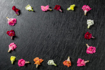 Fototapeta na wymiar きれいな食用花　エディブルフラワー　Edible flower salad