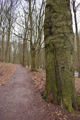 On the way to Drachenschlucht dragon´s canyon in Eisenach, Thüringen in Germany
