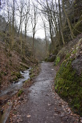 On the way to Drachenschlucht dragon´s canyon in Eisenach, Thüringen in Germany