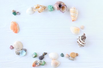 Many beautiful colorful exotic seashells with selective focus on white wooden background. Summer vacation backdrop with colorful tropical sea shells. Beautiful summer flat lay with set of shell
