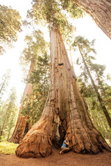 Hiker in Sequoia national park in California, USA