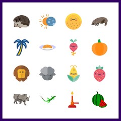 16 natural icon. Vector illustration natural set. radish and eclipse icons for natural works