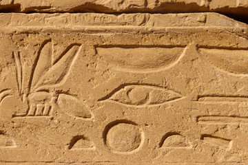 Ancient egyptian hieroglyphs on the wall in Karnak Temple Complex in Luxor, Egypt
