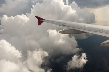 Cumulus under the wing.