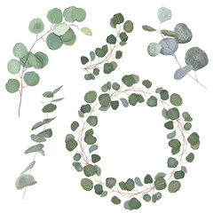 Eucalyptus branches and leaves and a wreath to put inside your text. Vector hand drawn elements.