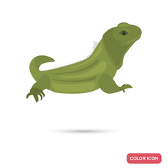Obraz premium Httery lizard color flat icon for web and mobile design