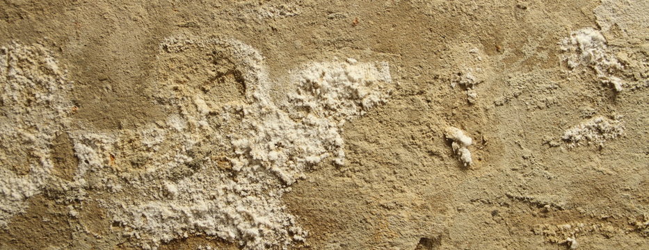 eine feuchte Kellerwand