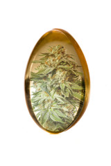 Cannabis oil capsule concept