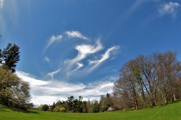Obraz premium landscape with blue sky and clouds
