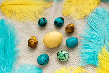 easter eggs and feathers