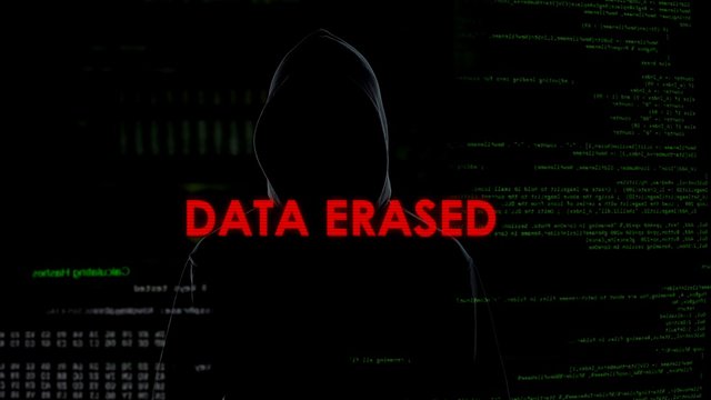 Data erased, unsuccessful attempt to hack server, criminal on codes background - Powered by Adobe