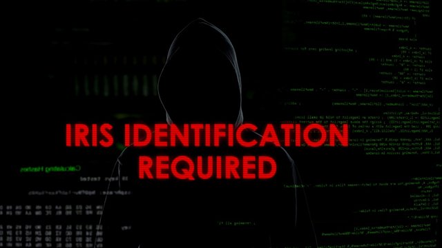 Iris identification required, unsuccessful hacking attempt on server, failure