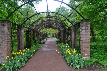 walkway in the garden