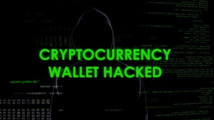 Fototapeta premium Cryptocurrency wallet hacked, finance criminal stealing money from account
