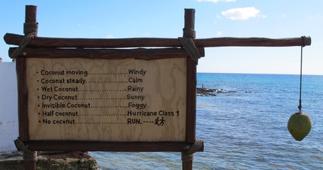 Mexico coconut weather forecast