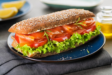 Salmon sandwich