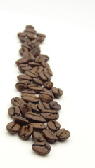 Close up of roasted coffee beans on white background