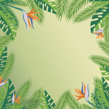 Tropical palm leaves, jungle leaves vector floral background