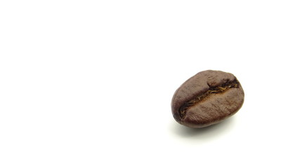 Close up of a roasted coffee bean on white background