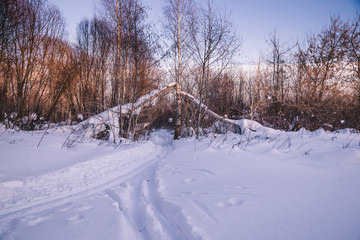 Fototapeta na wymiar ski run passes through fallen trees