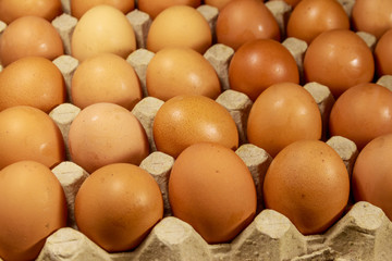 Raw chicken eggs in cardboard egg box close-up
